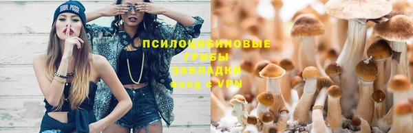 прущие крисы Кулебаки